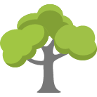 Sioux Falls Tree Trimming