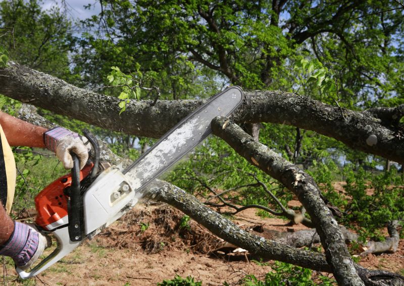 Tree Service detail
