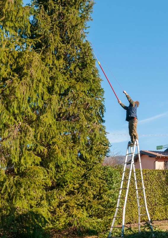 High Branch Trimming